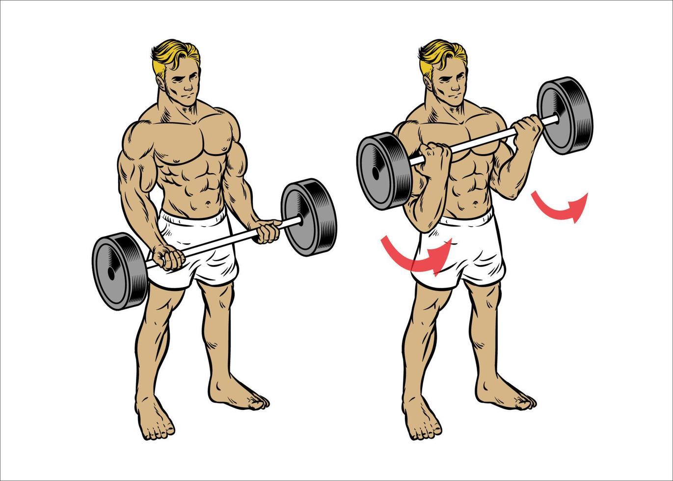 man fitness workout barbell curl to train the bicep muscle vector