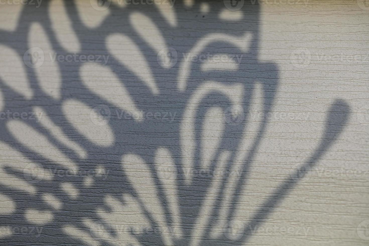 Concrete wall with a beautiful shadow from a geometric figure with curls. photo