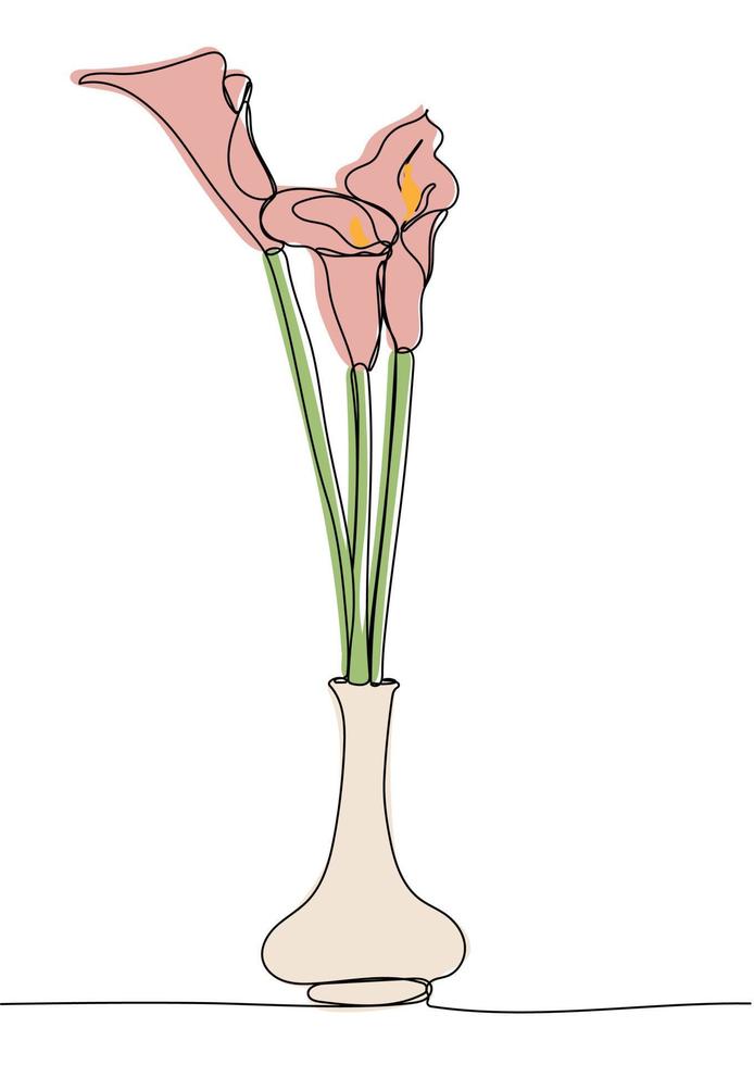 Calla lilies bouquet in vase vector