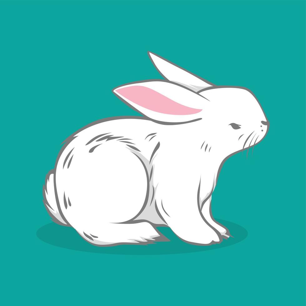 Rabbit set illustration vector design cute hand drawing