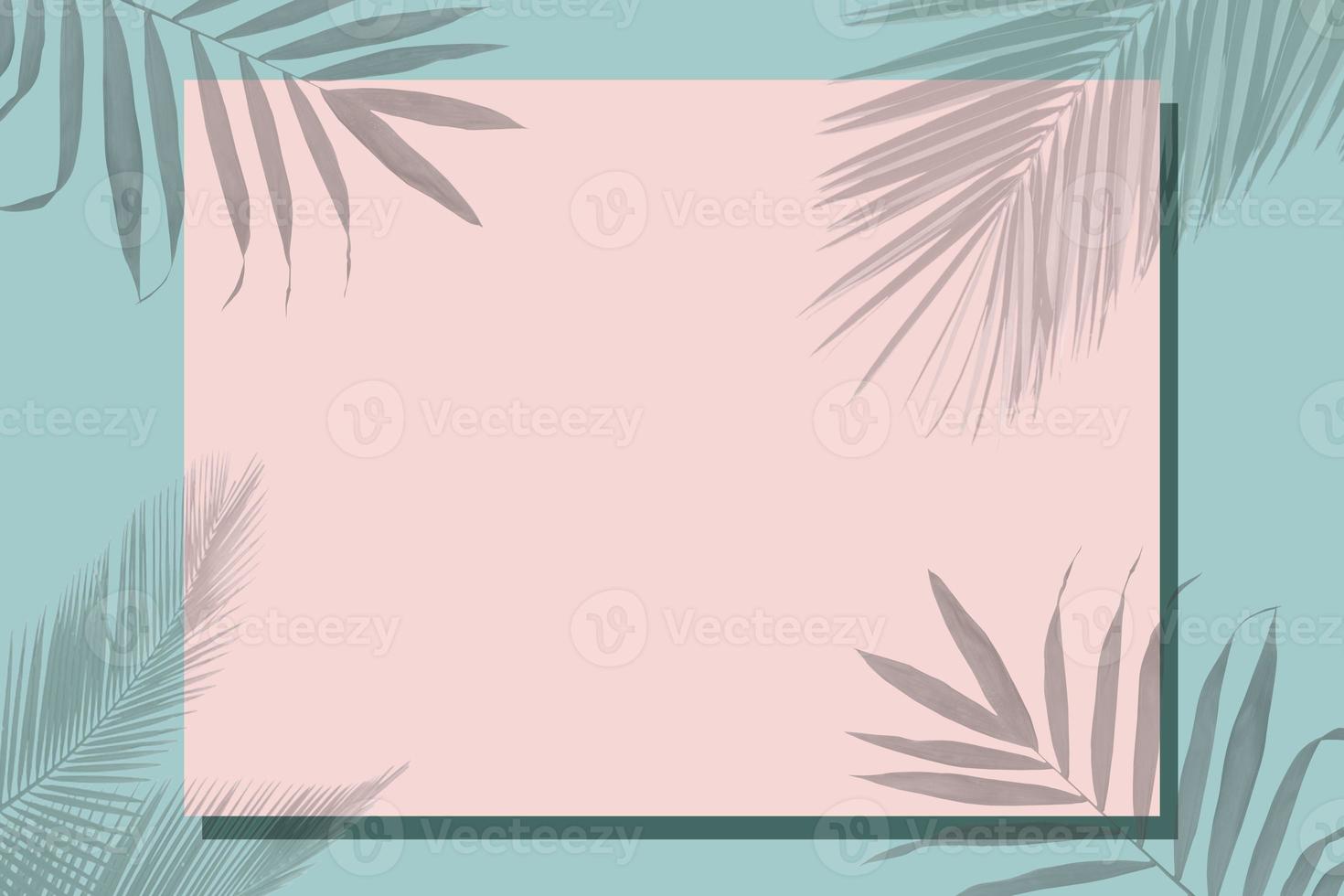 On a green background, a pink frame for text covered with a shadow from tropical leaves. photo