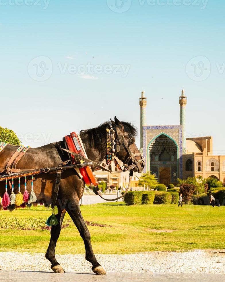 Decorated brown iranian horse carriage for ride, popular local attraction in Isfahan square, Iran photo