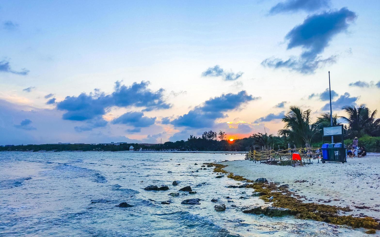 Playa del Carmen Quintana Roo Mexico 2021 Beautiful sunset evening at beach coast with sea weed Mexico. photo