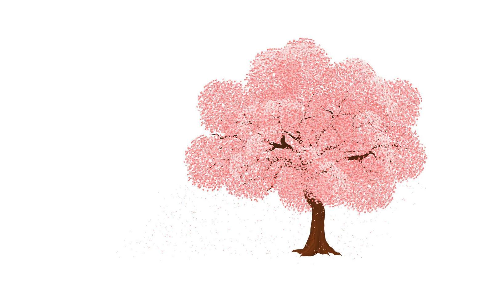 Ilustración de vector de flor de sakura - cerezo japonés, con pétalos que caen aislados sobre fondo blanco.