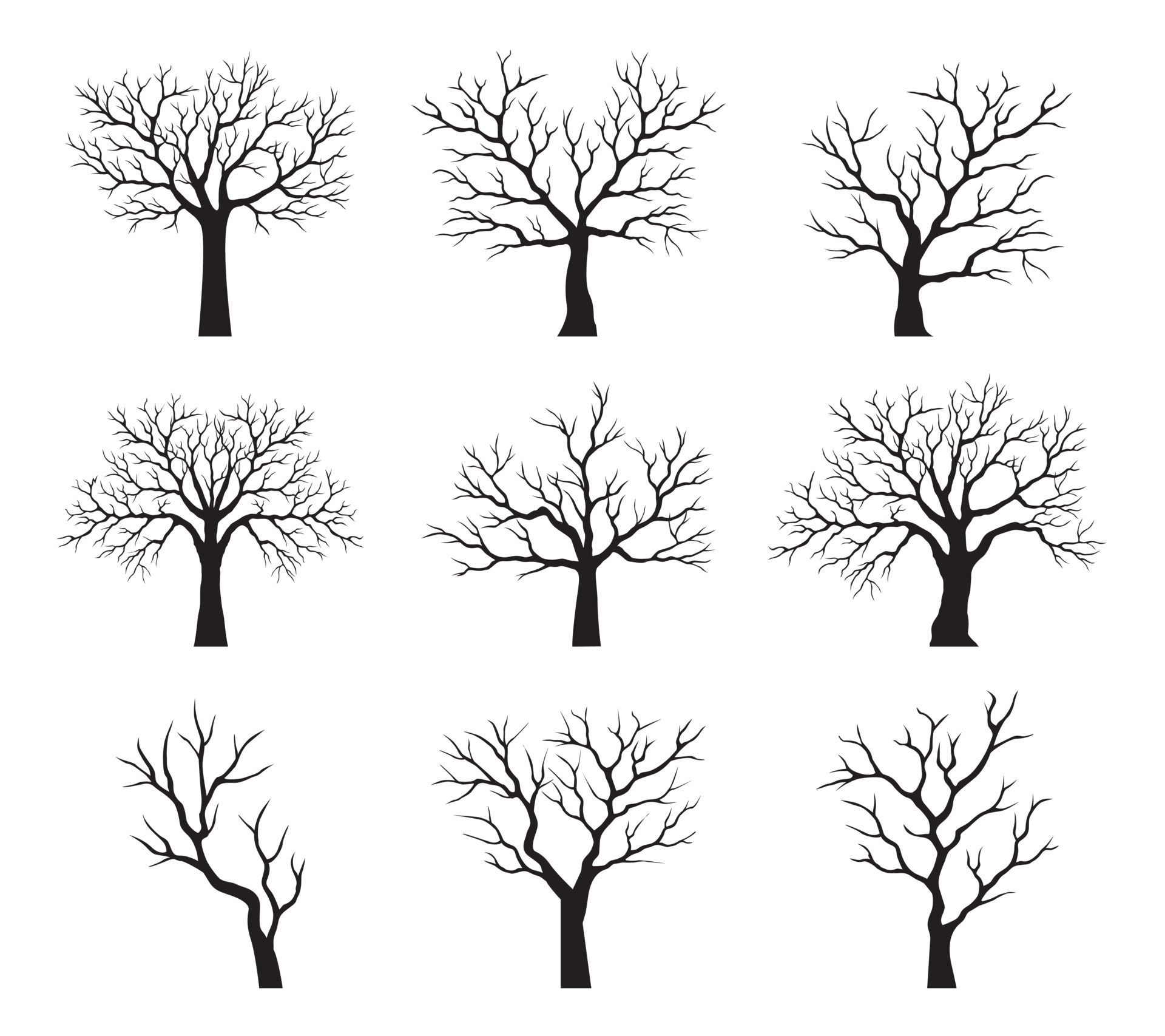 Set Of Black Trees Without Leaves Vector Outline Illustration Plant set-of-black-trees-without-leaves-vector-outline-illustration-plant