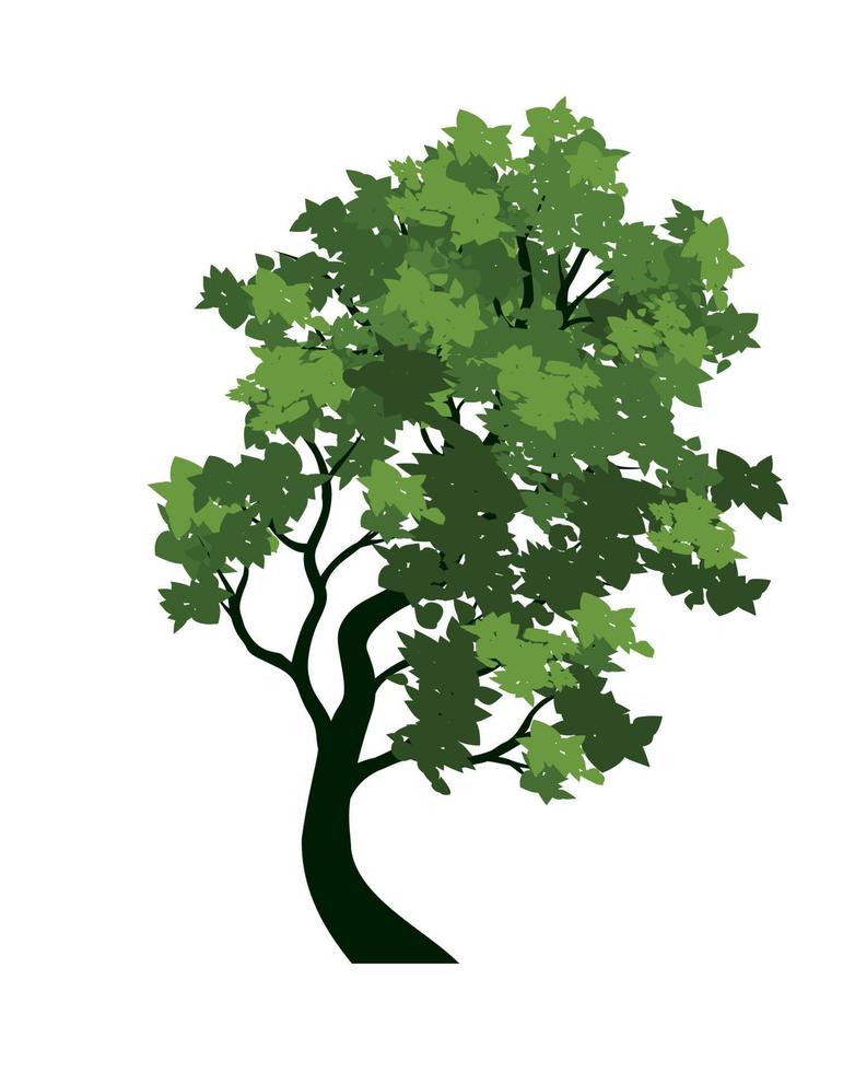 Green Tree with Leaves. Vector outline Illustration. Plant in Garden.