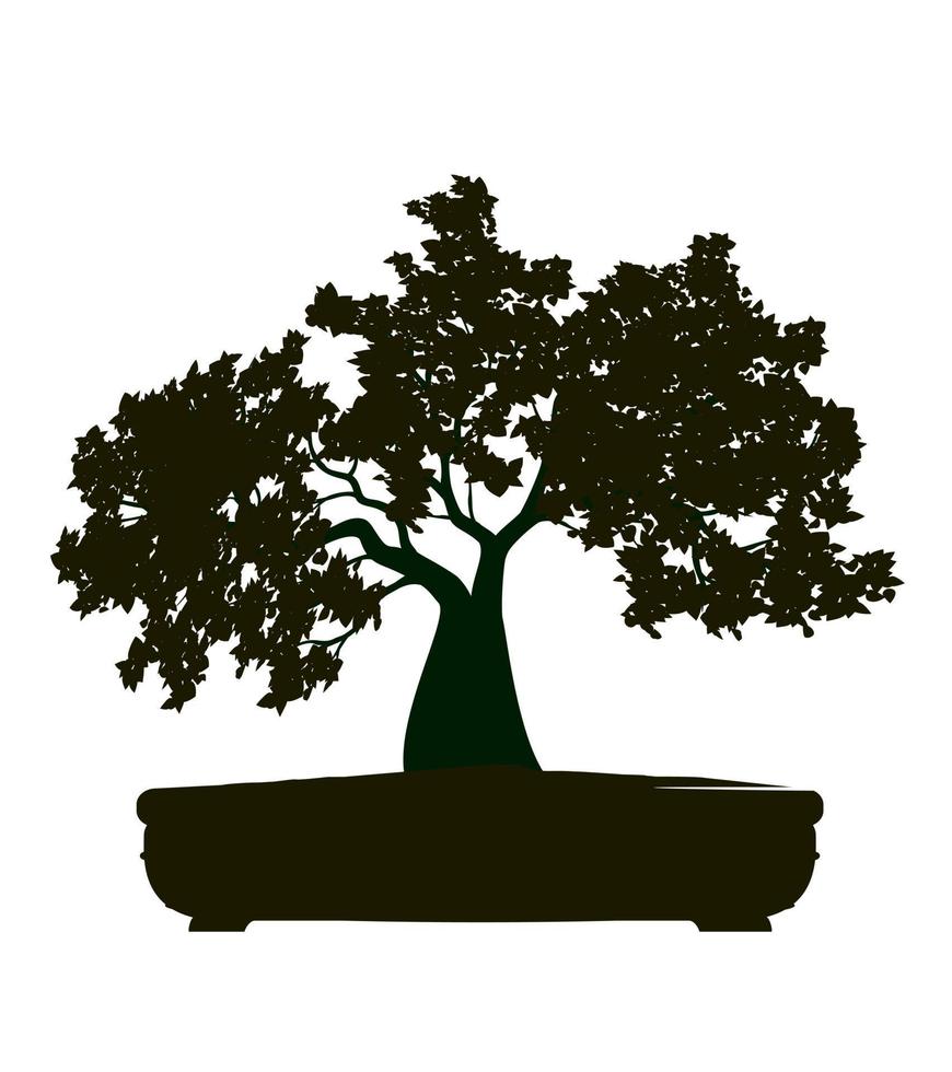 forma de árbol con hojas. vector contorno ilustración de bonsái