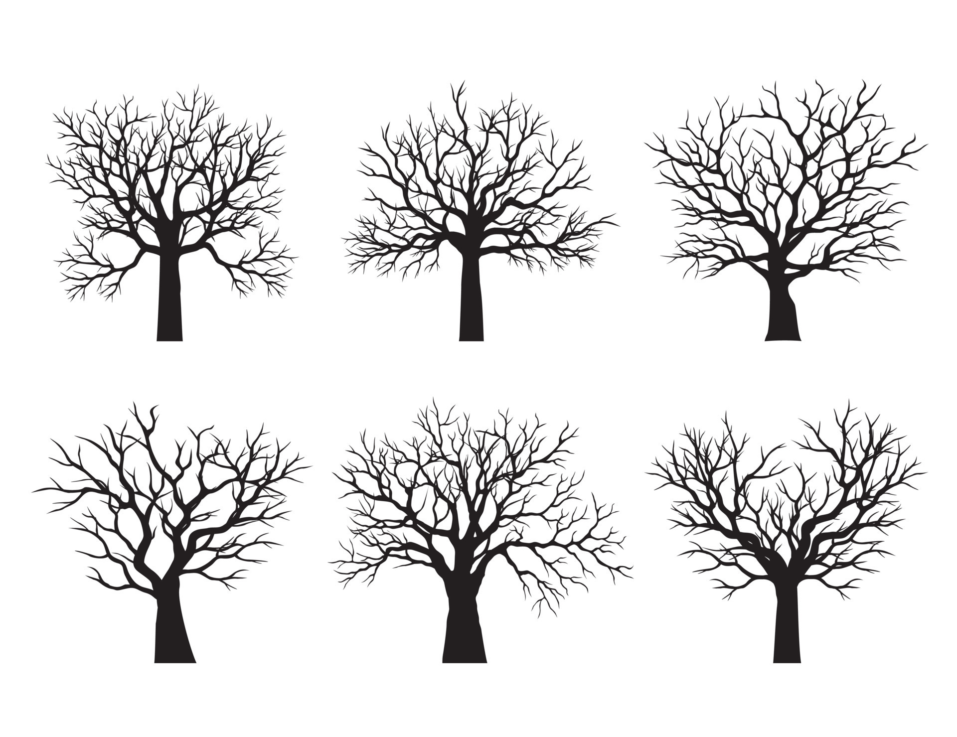 Shape of black Tree without leaves. Vector outline Illustration. Plant