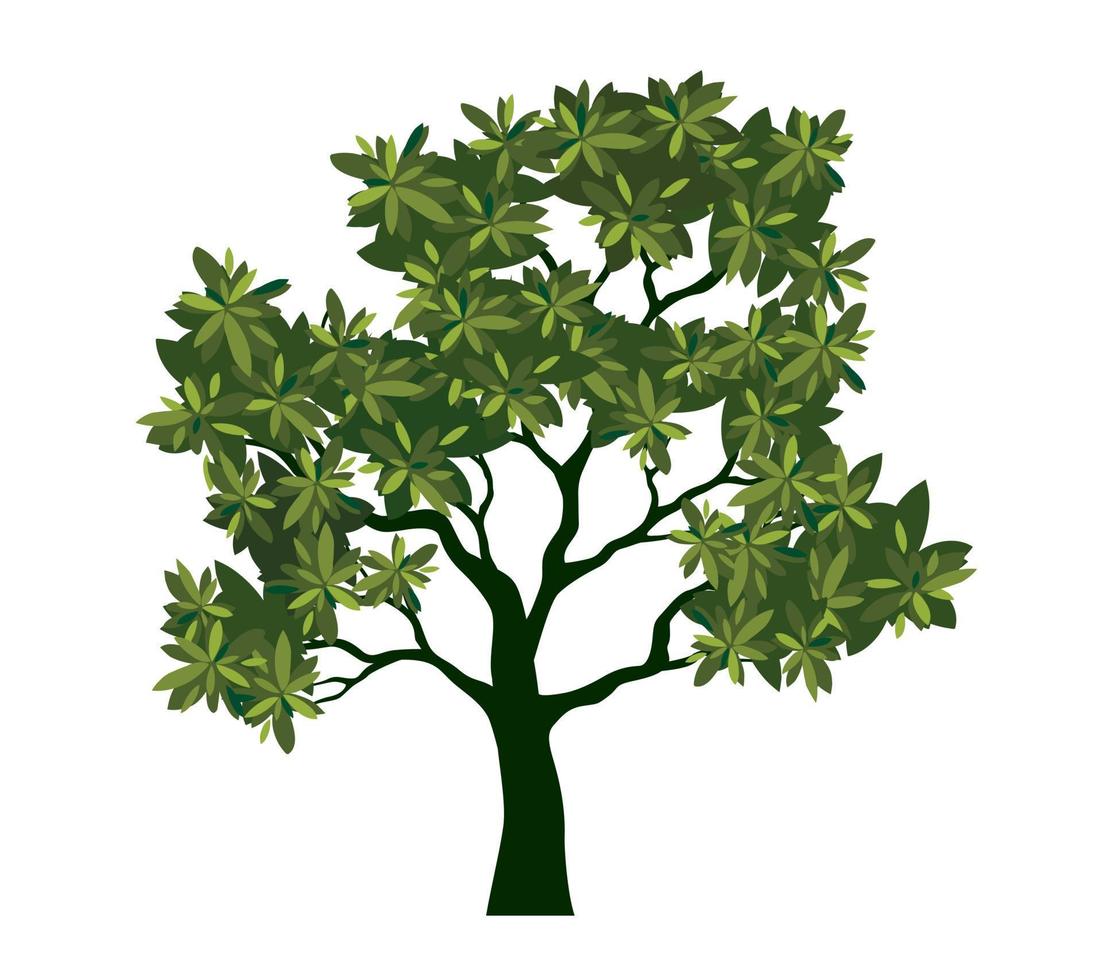 Green Tree with Leaves. Vector outline Illustration. Plant in Garden.