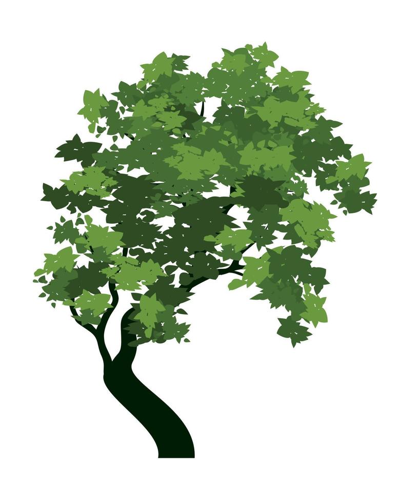 Green Tree with Leaves. Vector outline Illustration. Plant in Garden.