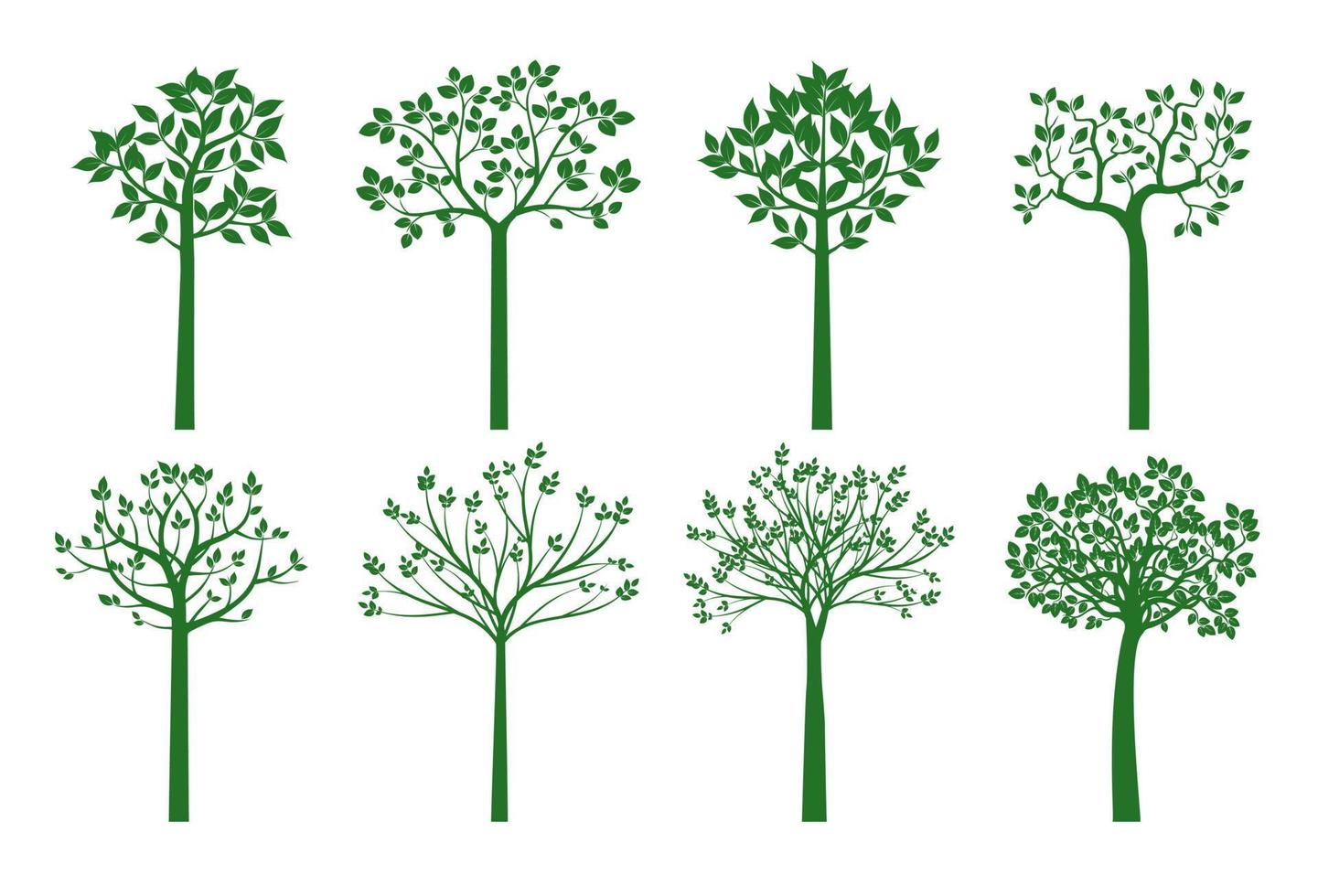 Set green Young Trees. Vector Illustration.