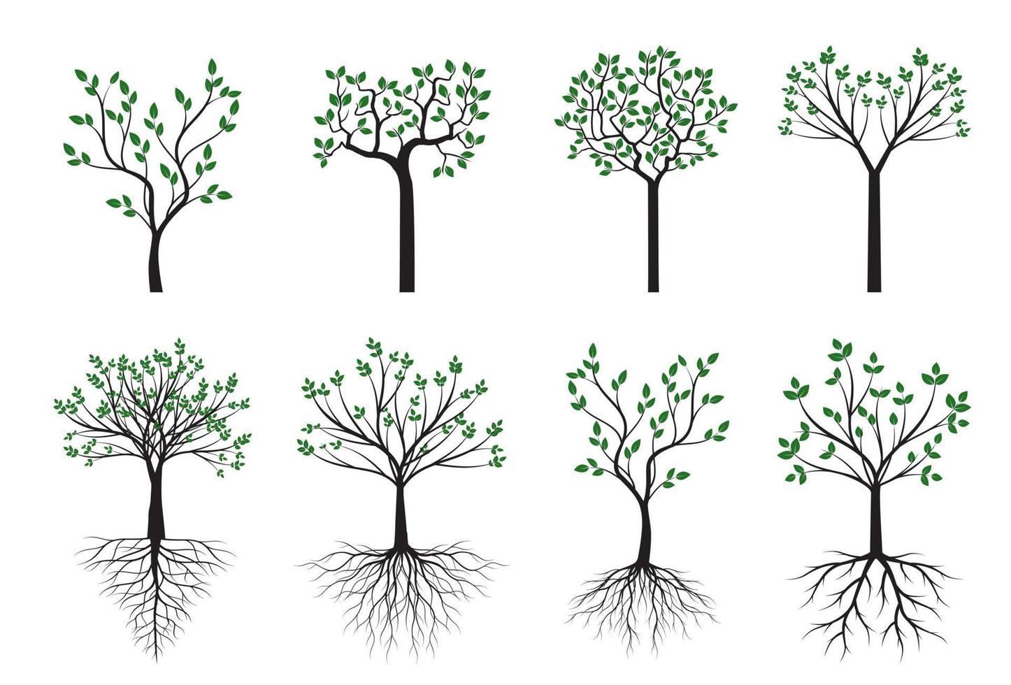 Set green Young Trees with Roots. Vector Illustration.