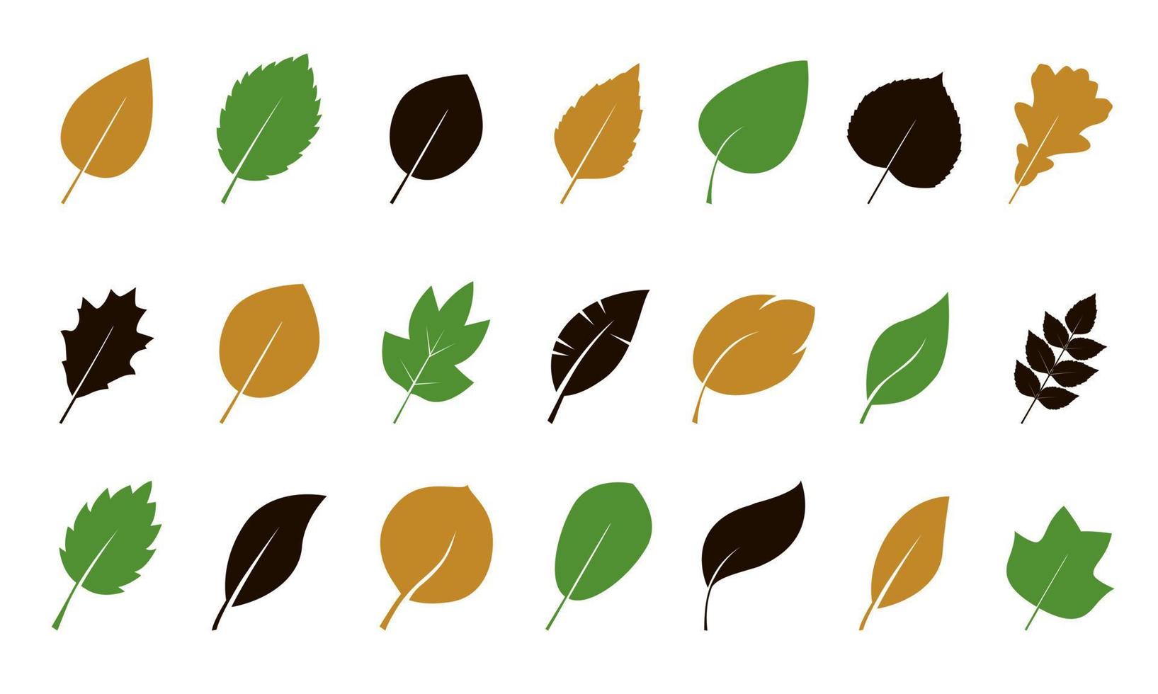 Set of isolated green Leaves. Vector Illustration.