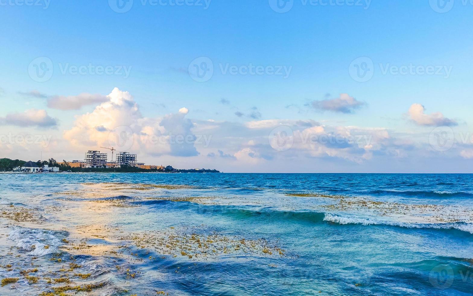 hermosa puesta de sol noche a playa costa con mar hierba México. foto