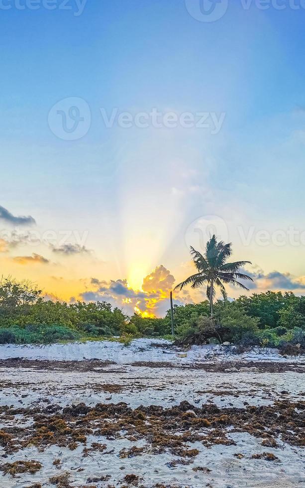 hermosa puesta de sol noche a playa costa con mar hierba México. foto