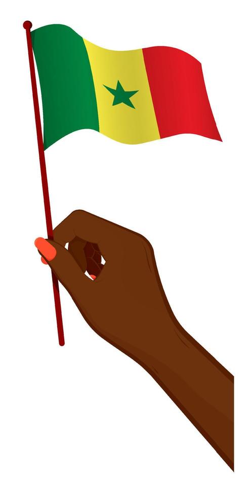 hembra mano suavemente sostiene pequeño bandera de república de Senegal. fiesta diseño elemento. dibujos animados vector en blanco antecedentes