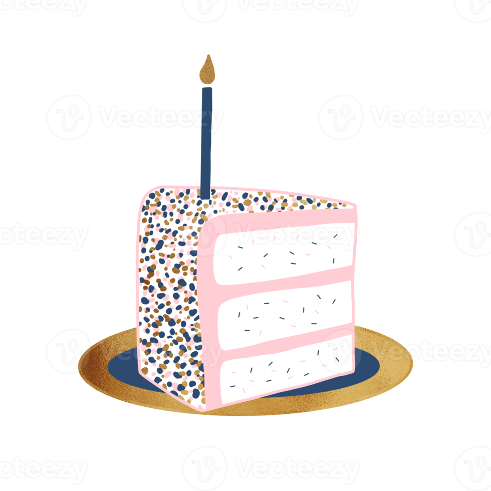 Pink Birthday Cake png