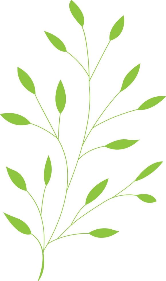 Simple Leaf Illustration vector