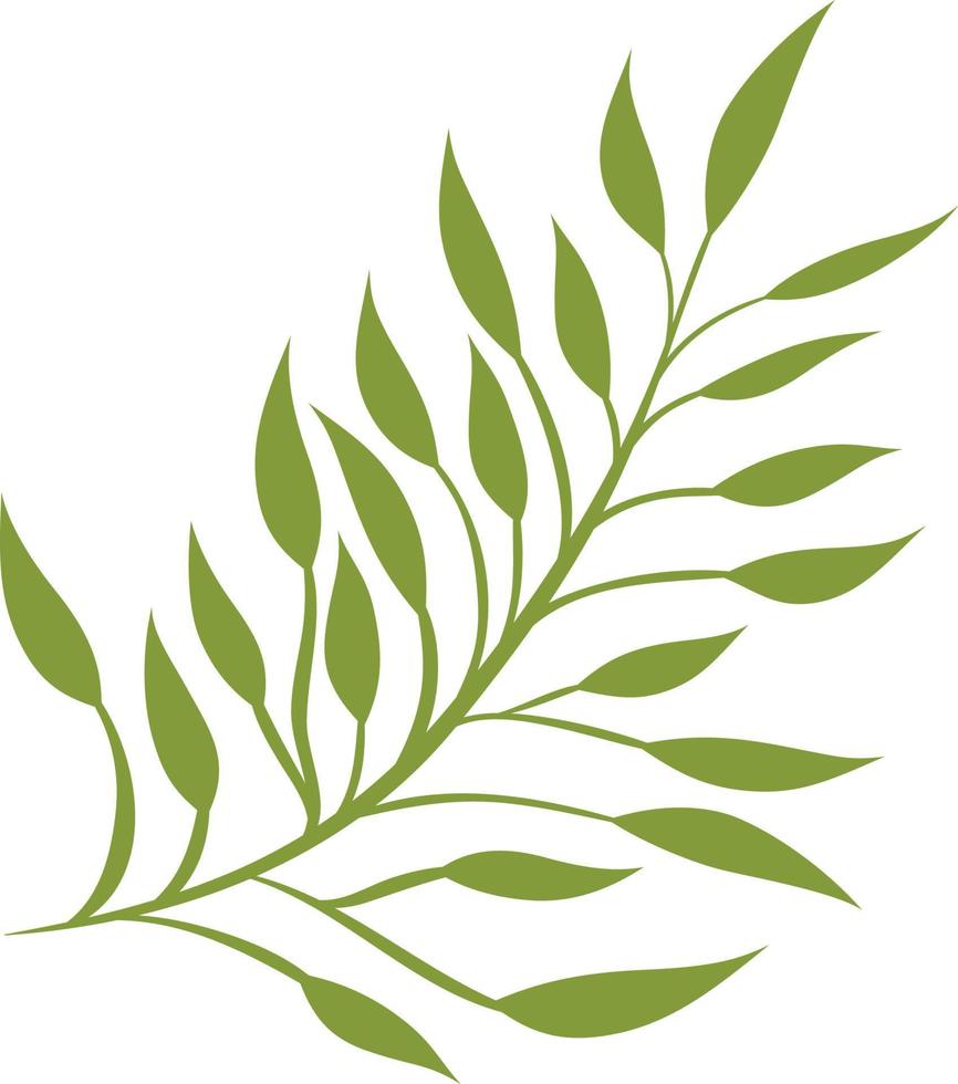 Simple Leaf Illustration vector