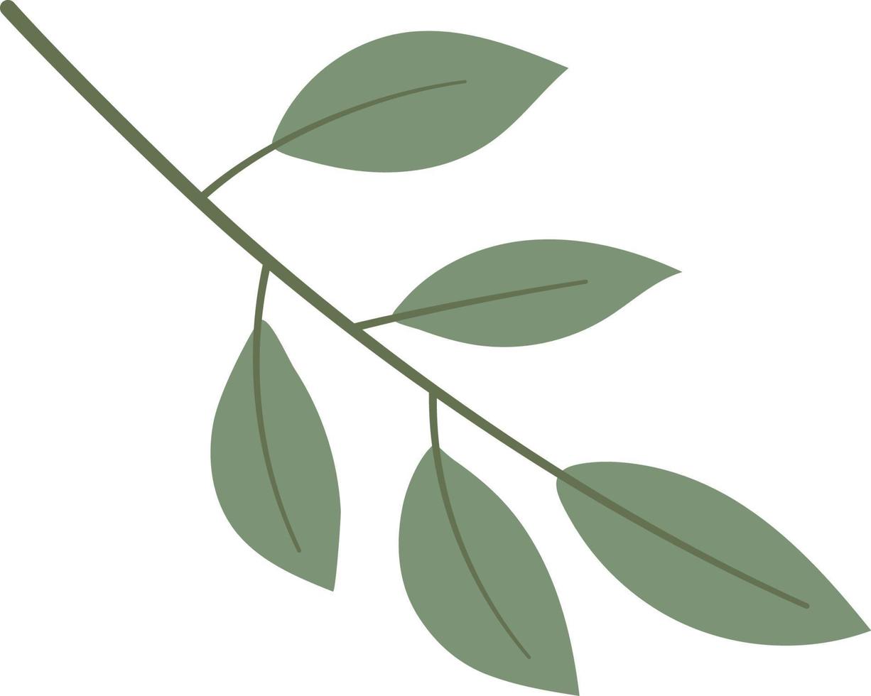 Simple Leaf Illustration vector