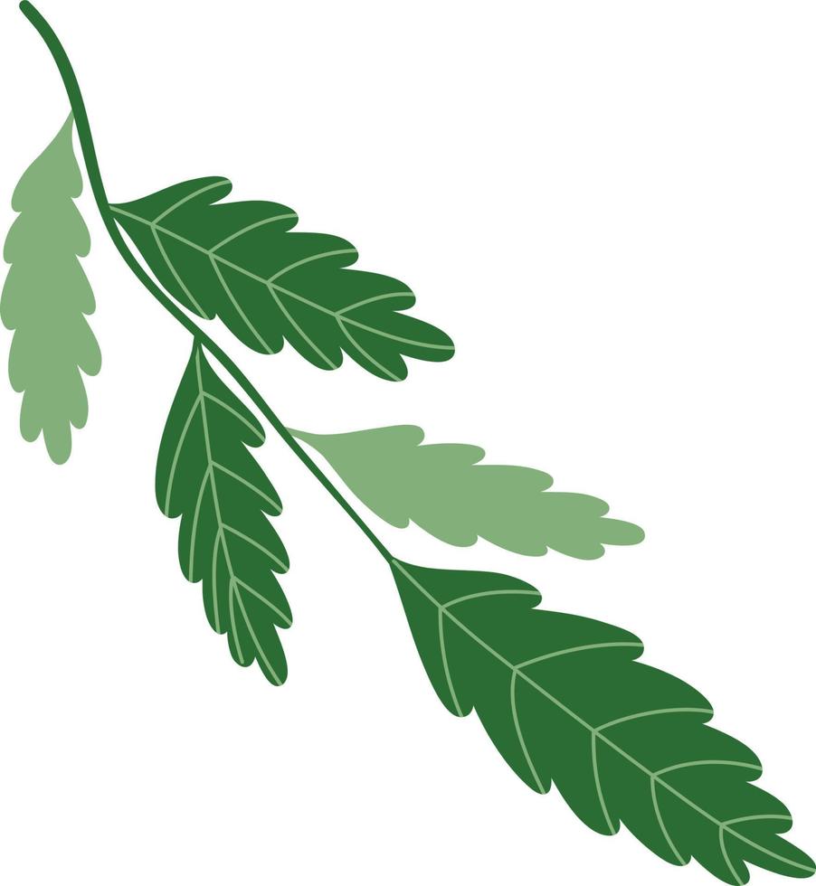 Simple Leaf Illustration vector