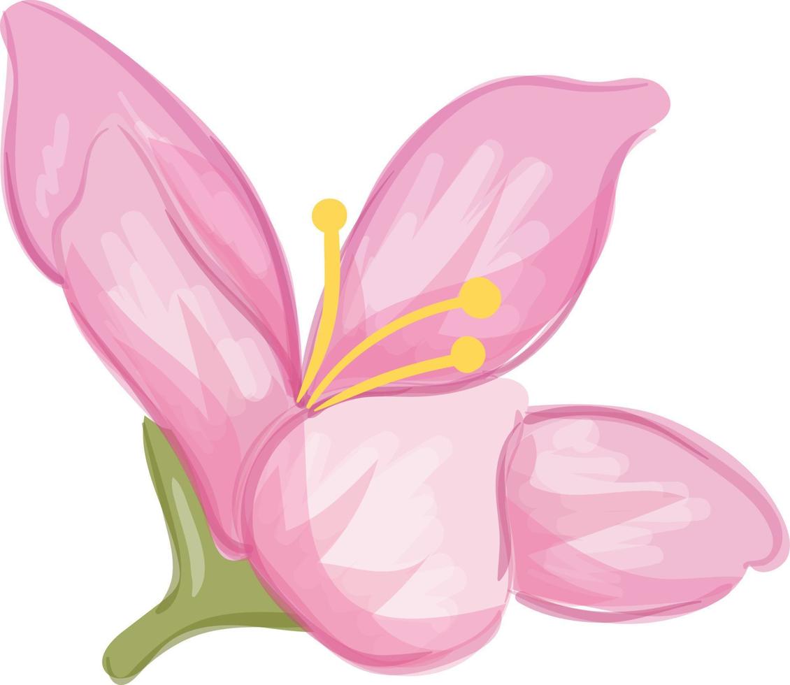 Watercolor Hand Drawn Flowers vector