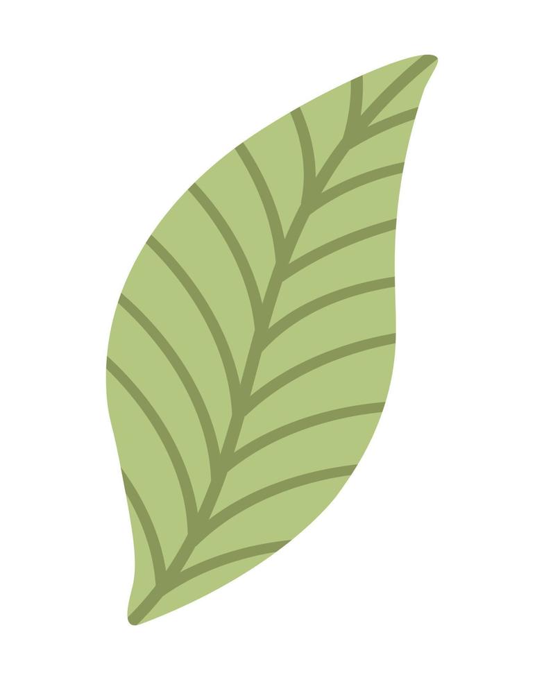 Doodle flat clipart simple leaf. Easy to change color. vector