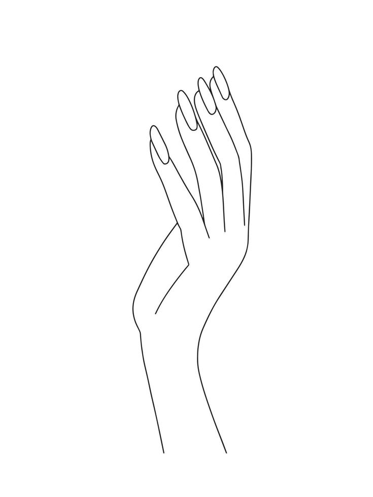 Vector woman hand sketch with manicure. Beautiful woman hand with nails illustration