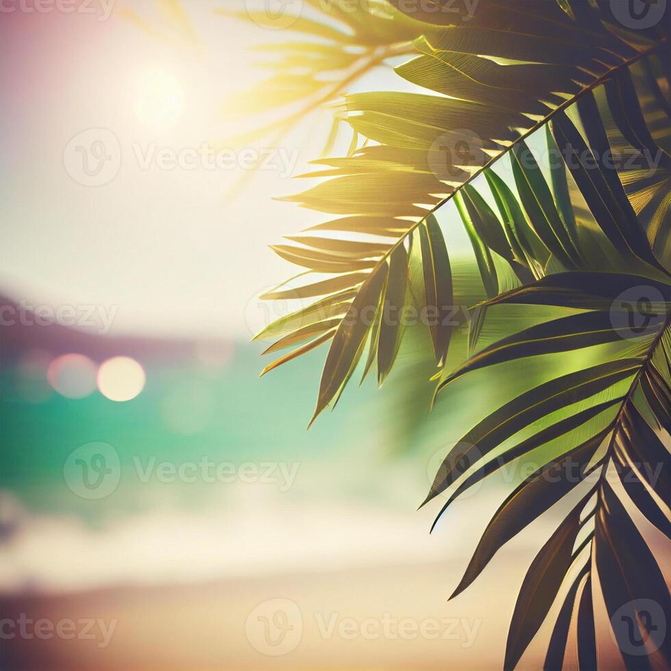 Blur beautiful nature green palm leaf on tropical beach with bokeh sun light flare wave abstract background. Summer vacation and business travel concept space - image photo