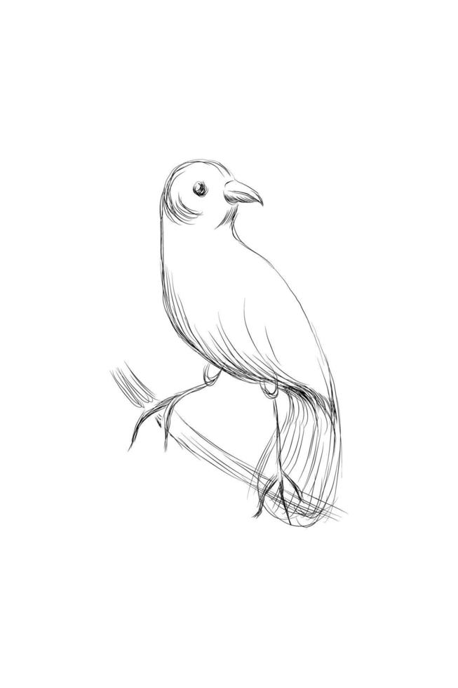 Illustration of a Northern Parula perched on a branch vector