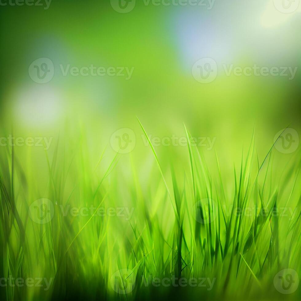 Beautiful texture of green meadow grass with dew drops close up, abstract blur natural bokeh background - Image photo