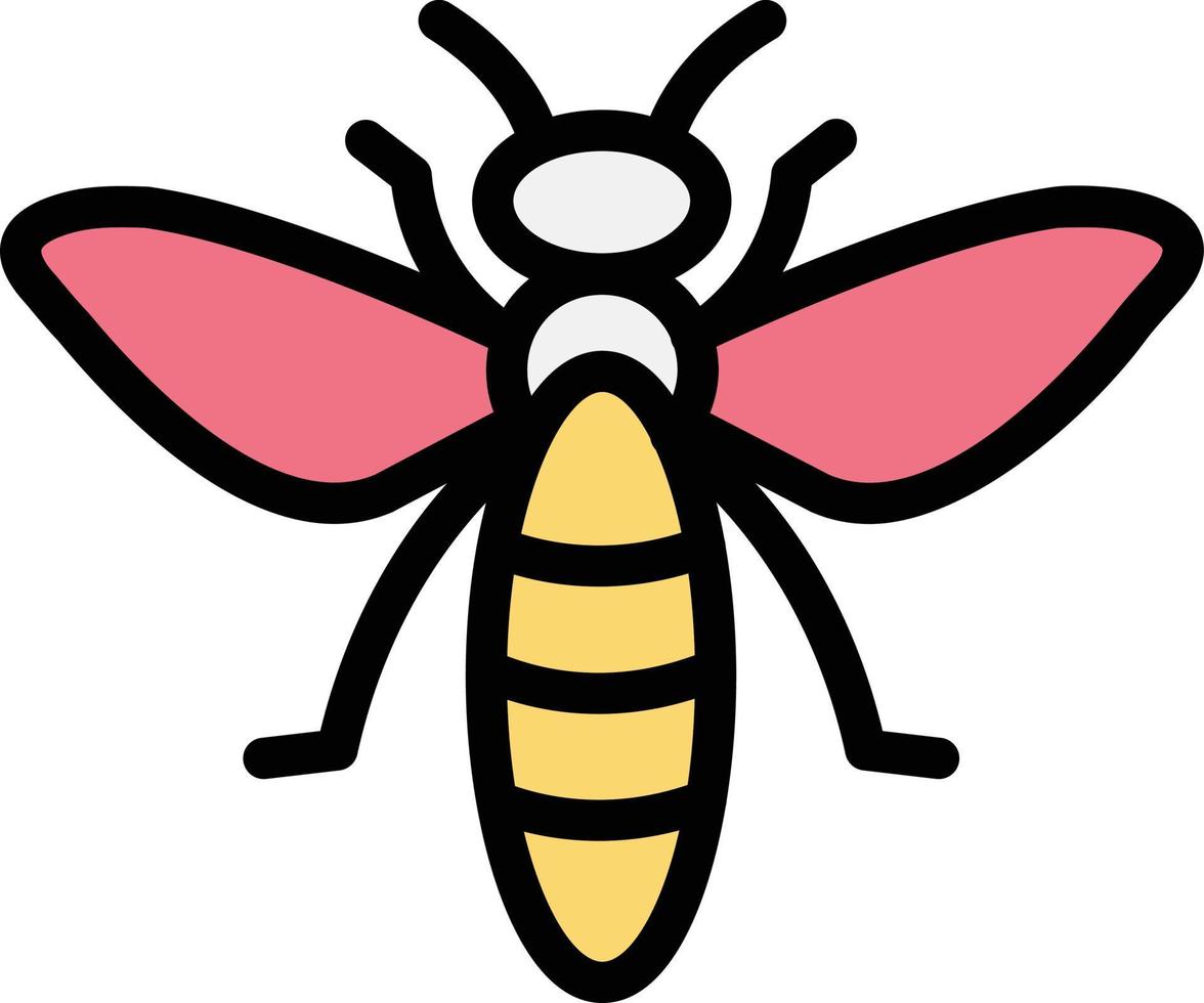 Insect Vector Icon Design Illustration