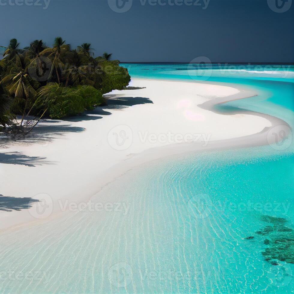 Maldives white sand beach and blue transparent ocean - image photo