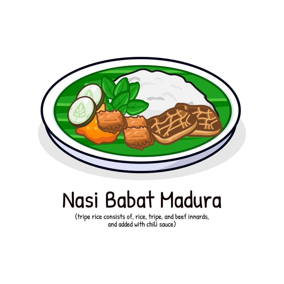 Nasi babat or tripe rice with sambals spicy food from Madura Indonesia vector