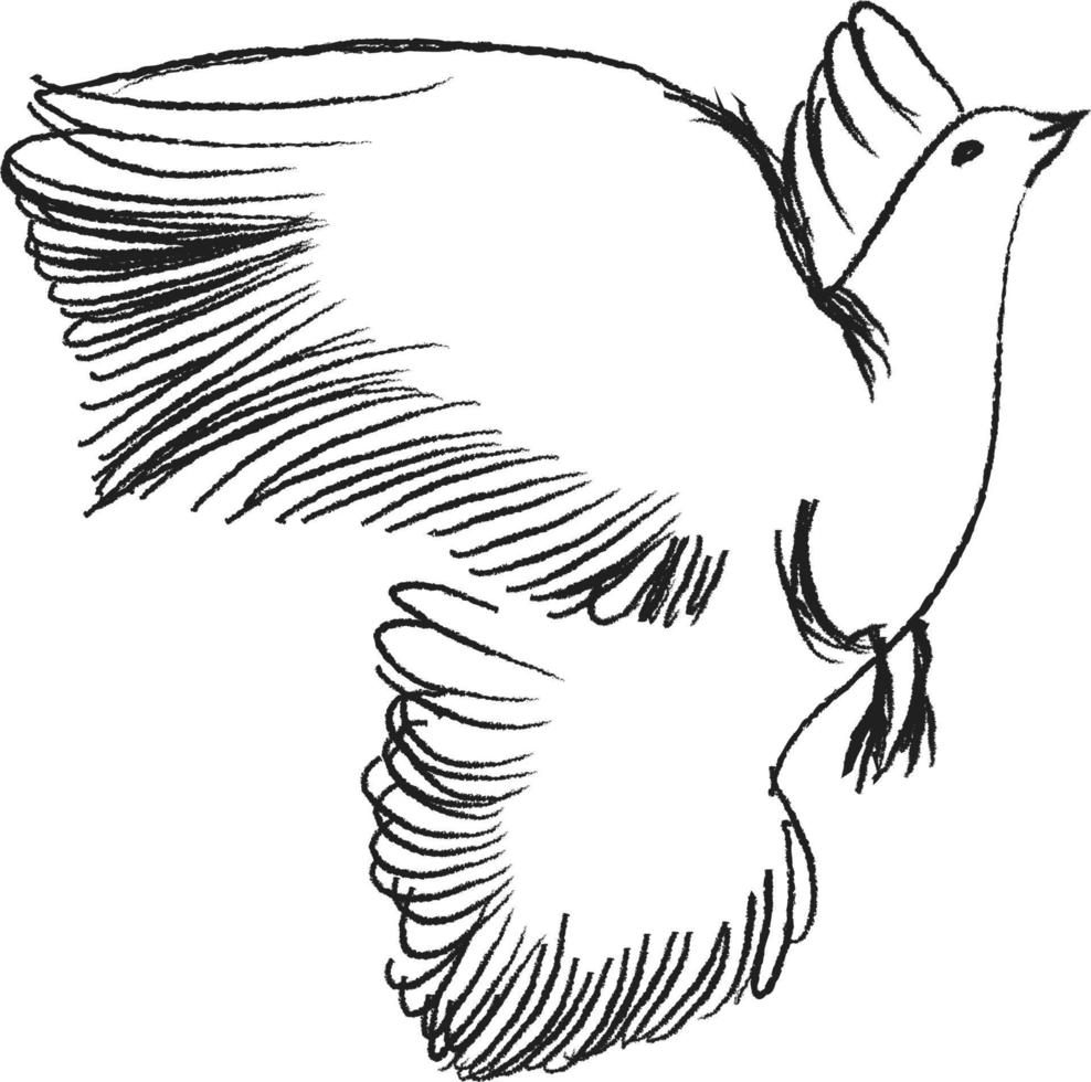 esbozar pájaro volador. ilustración vectorial dibujada a mano aislada. gorrión grabado, titmouse, golondrina en estilo garabato vector