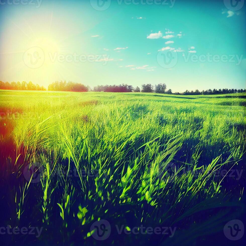 Bright sun shines on green morning grassy meadow, bright blue sky - image photo