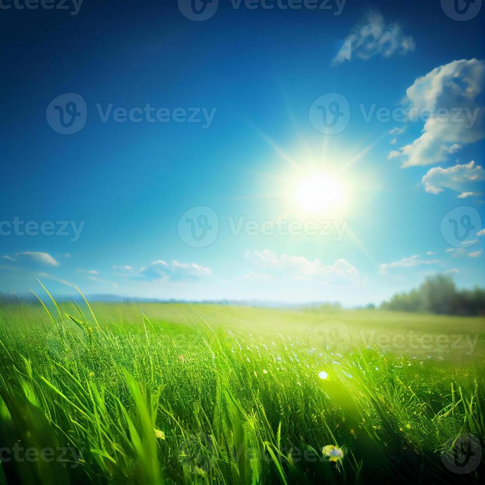 Bright sun shines on green morning grassy meadow, bright blue sky - image photo