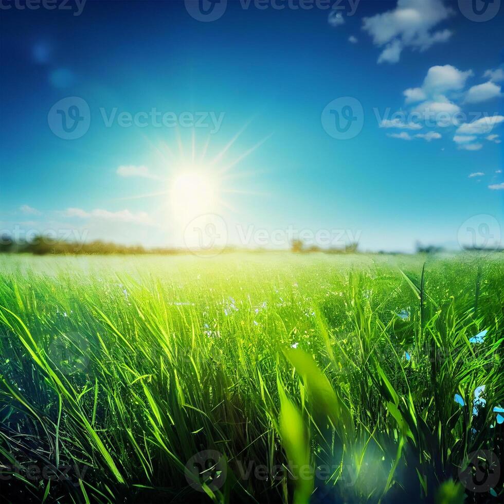 Bright sun shines on green morning grassy meadow, bright blue sky - image photo