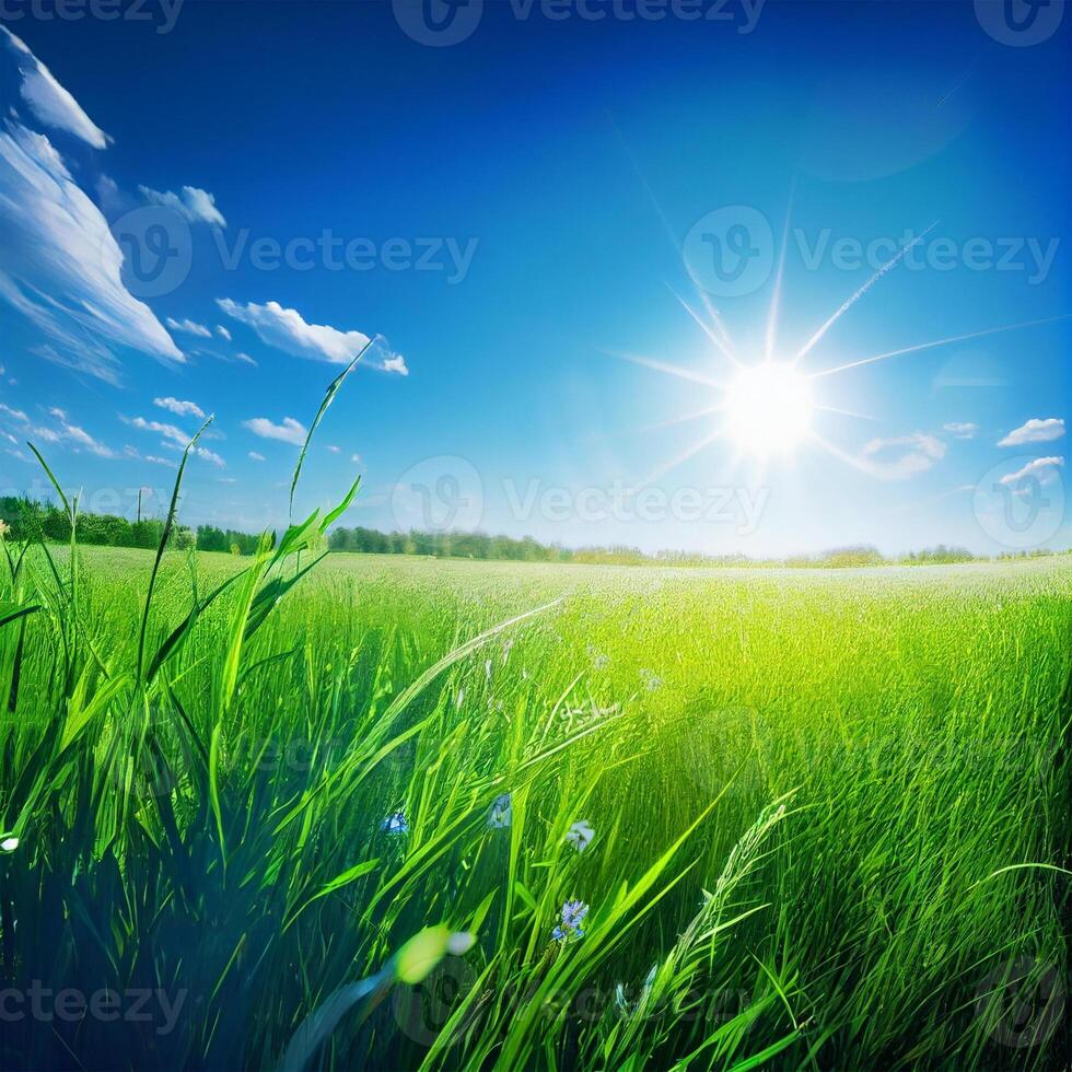 Bright sun shines on green morning grassy meadow, bright blue sky - image photo