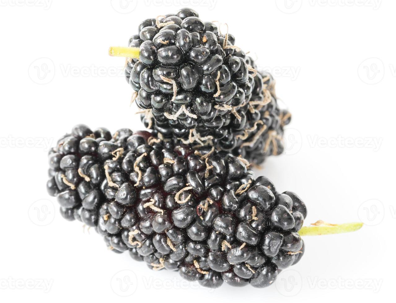 Mulberry isolated on the white photo