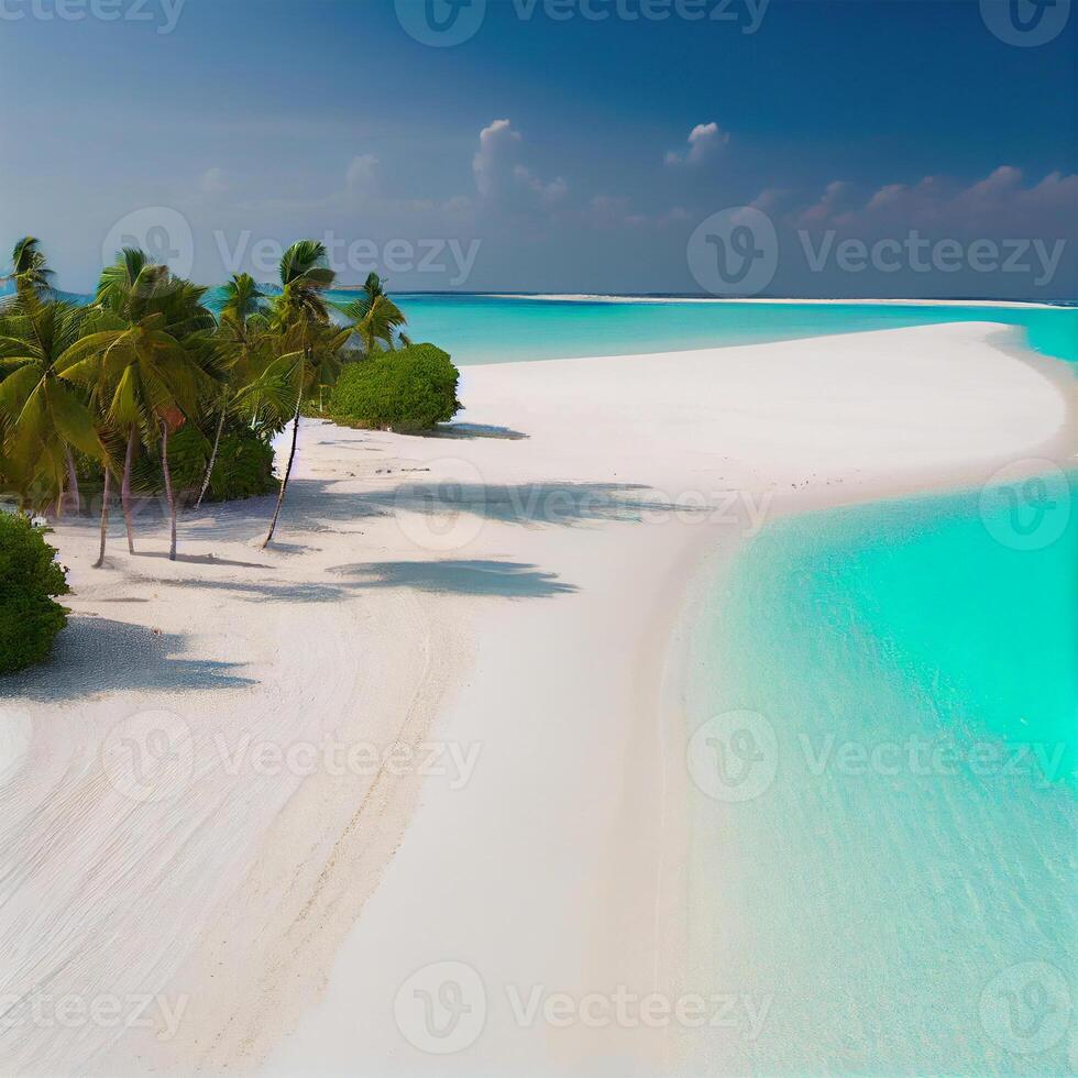 Maldives white sand beach and blue transparent ocean - image photo