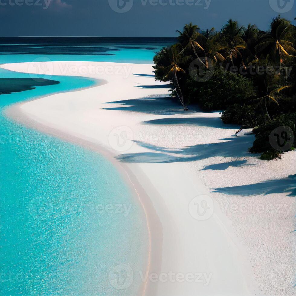 Maldives white sand beach and blue transparent ocean - image photo