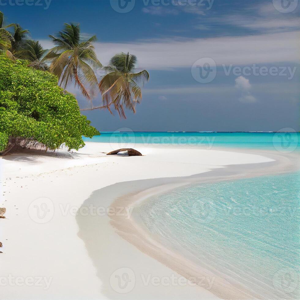 Maldives white sand beach and blue transparent ocean - image photo