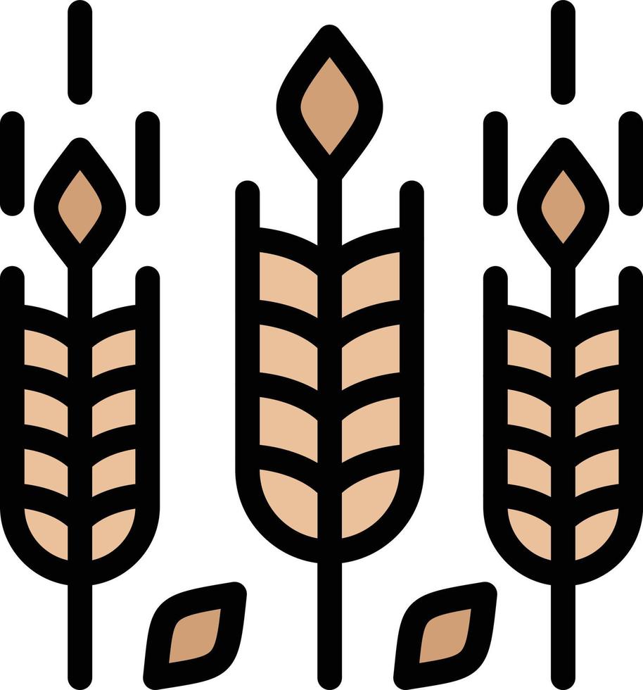 Wheat Vector Icon