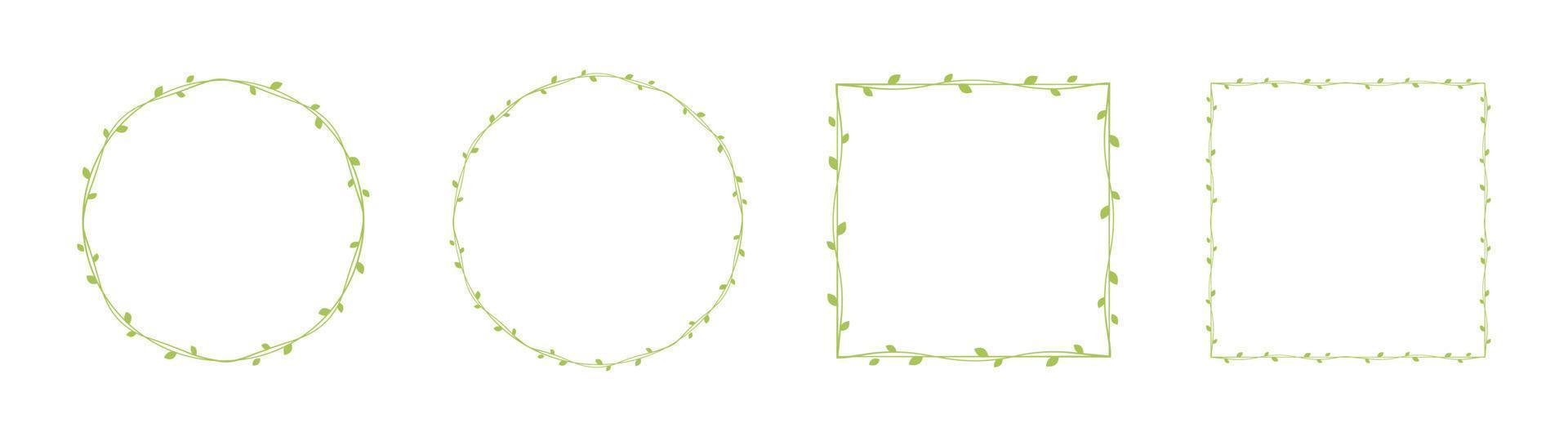 Green vine frames and borders set, floral botanical design element vector illustration