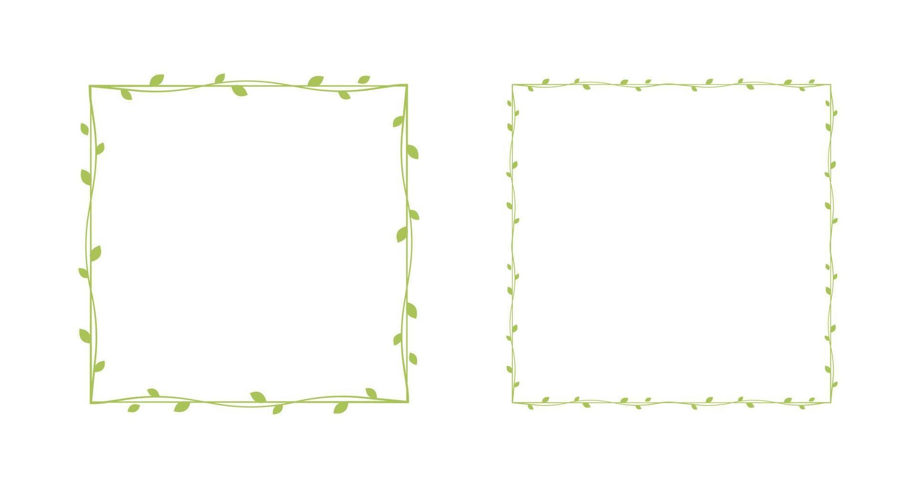 Square green vine frames and borders set, floral botanical design element vector illustration