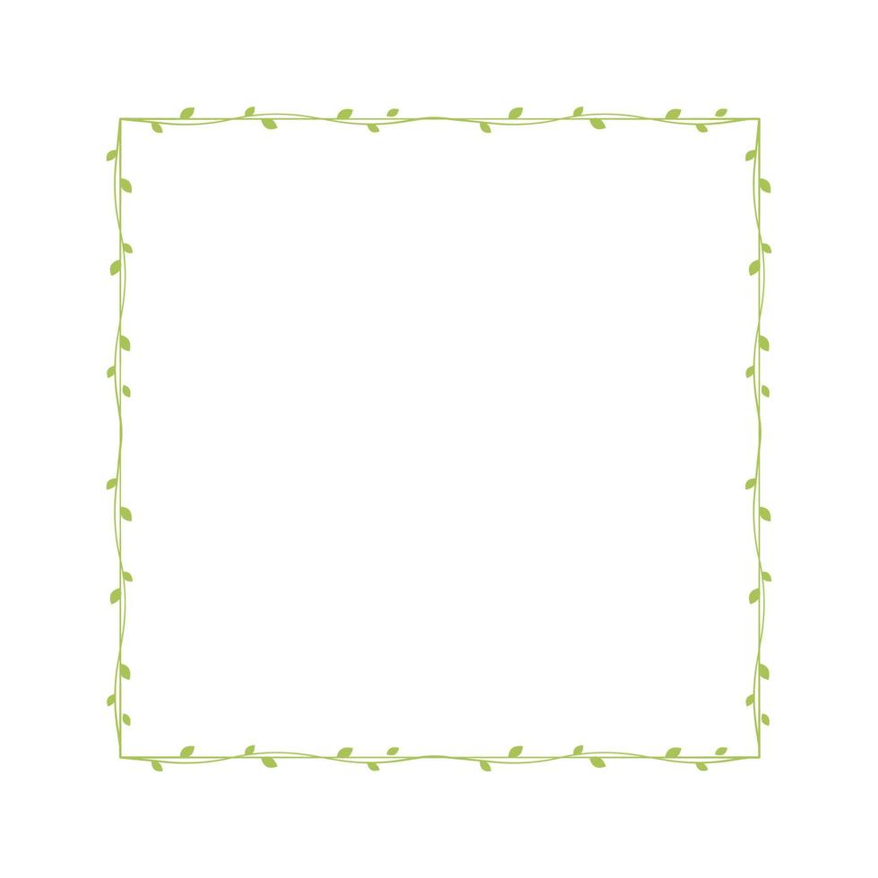 Square green vine frames and borders, floral botanical design element vector illustration