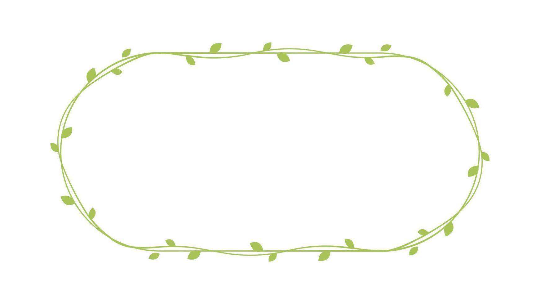 Oval green vine frames and borders, floral botanical design element vector illustration