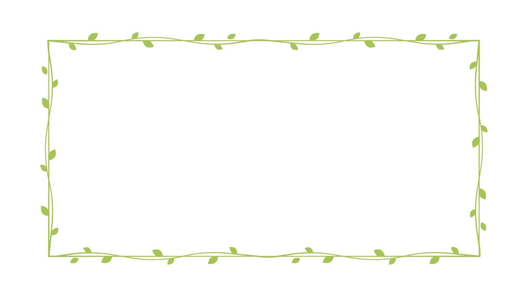 Rectangle green vine frames and borders, floral botanical design element vector illustration