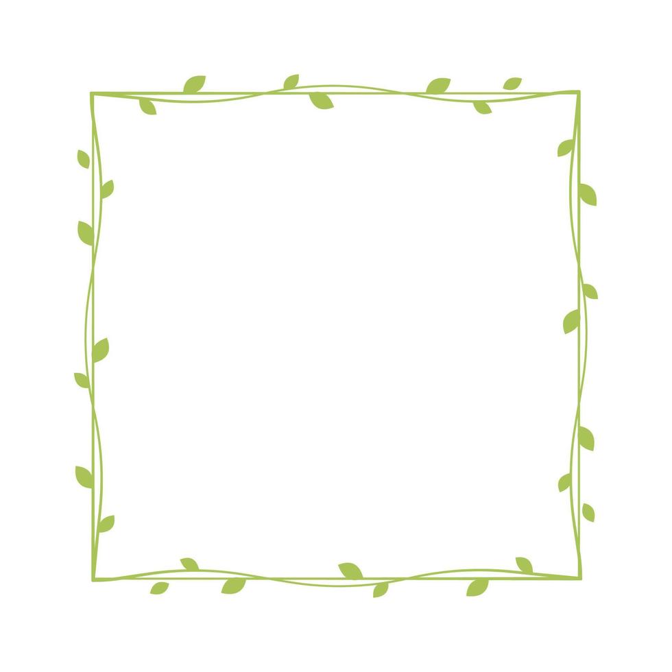 Square green vine frames and borders, floral botanical design element vector illustration